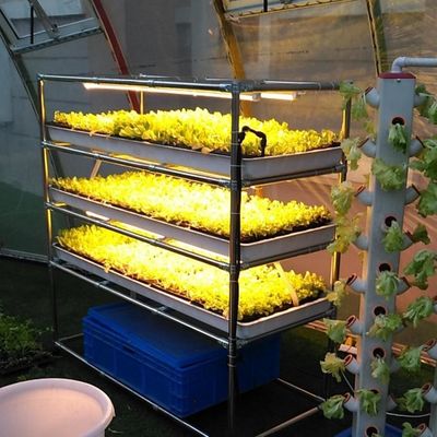 垂直種植システム 商業用浮流システム 農業温室